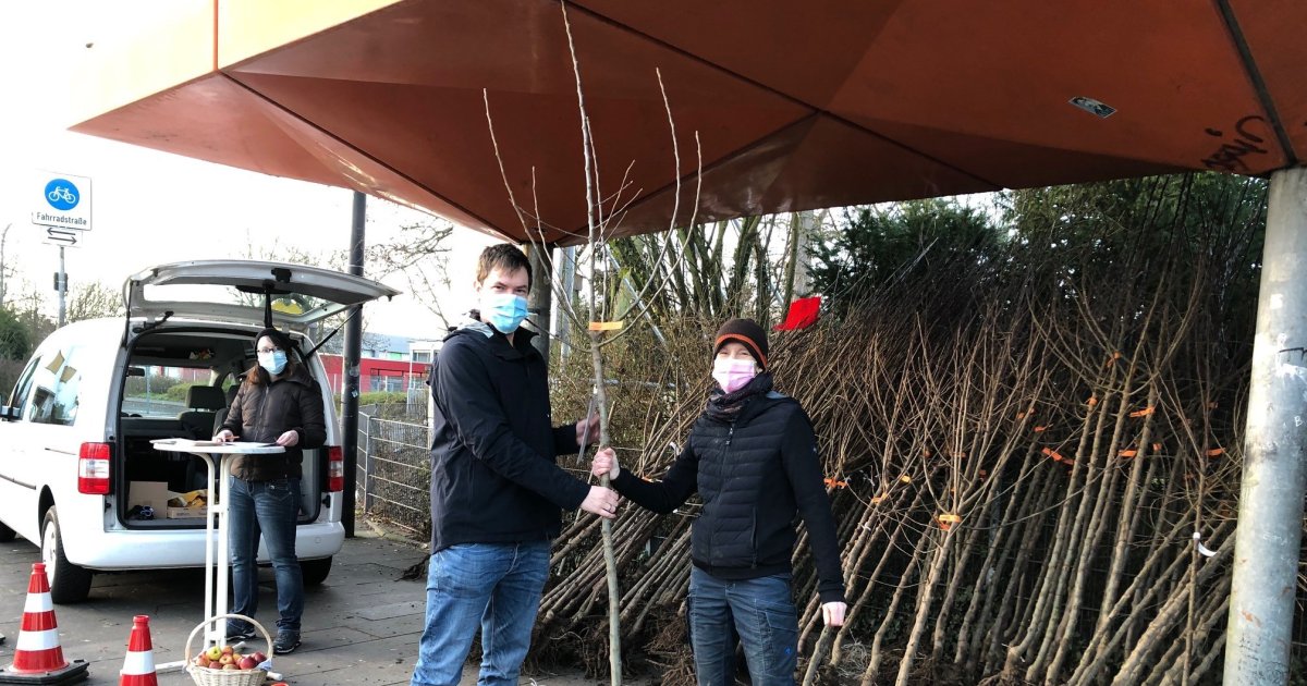 Ein Obstbaum für den eigenen Garten Stadt Troisdorf