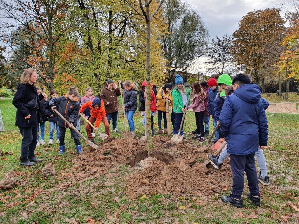 Kinder der „Grünbär-Klasse“ der Oberlarer Janosch-Grundschule pflanzen einen Kastanienbaum