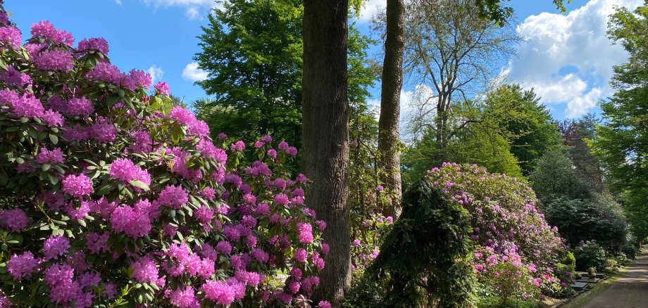 Waldfriedhof