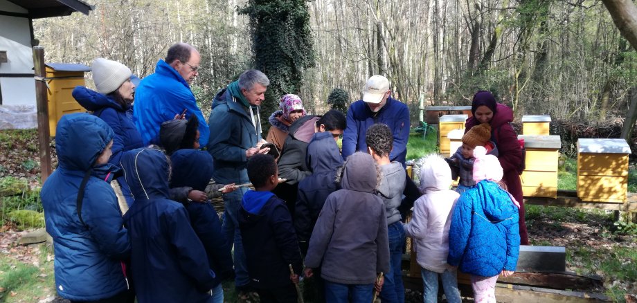 Besuch im Lehrbienenstand