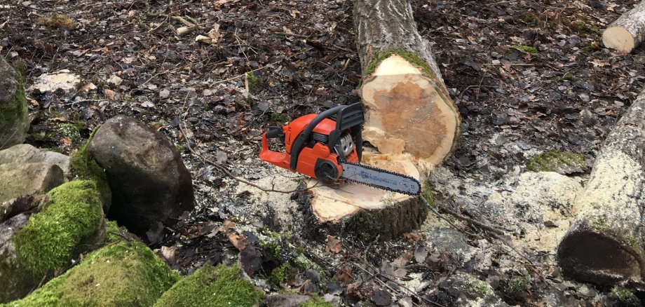 Kettensäge mit gefälltem Baum