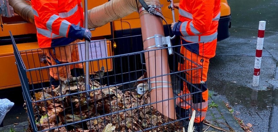 Mit einem Saugrohr werden die Laubkörbe von Bauhofmitarbeitenden entleert. 