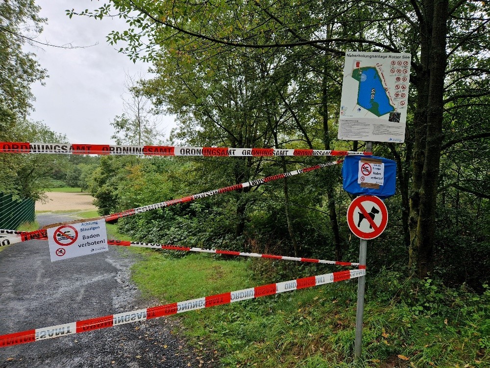 Flatterband am Zugang zum Rotter See