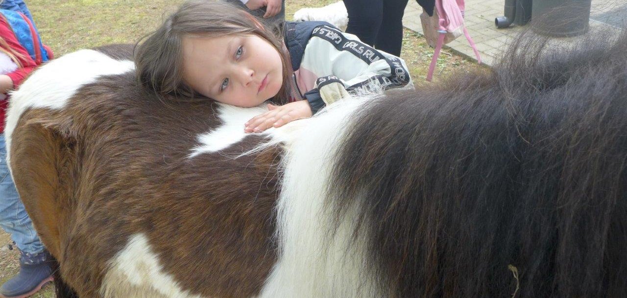 Streichelzoo mit Pony