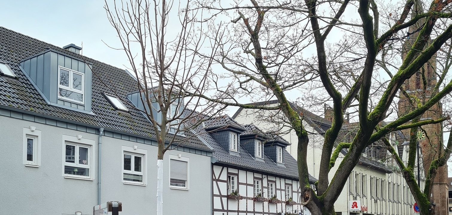 Die neue Kaiserlinde, deren Pflanzscheibe bereits sorgfältig gestaltet wurde, trägt nun zu einer noch schöneren Atmosphäre am Paul-Schürmann-Platz bei.