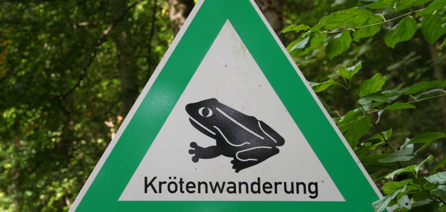 Schild mit Aufschrift Krötenwanderung