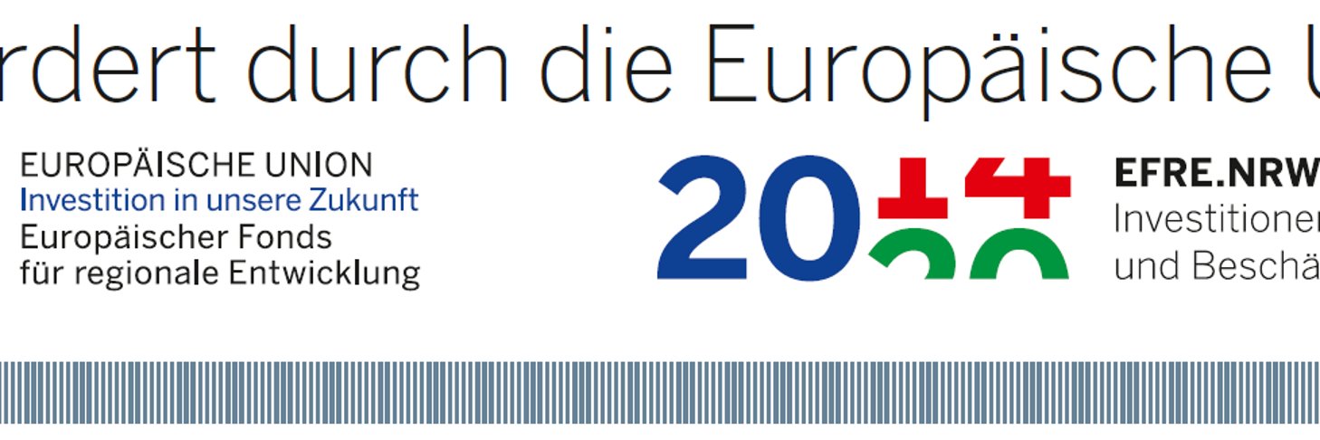 Gefördert durch die Europäische Union
