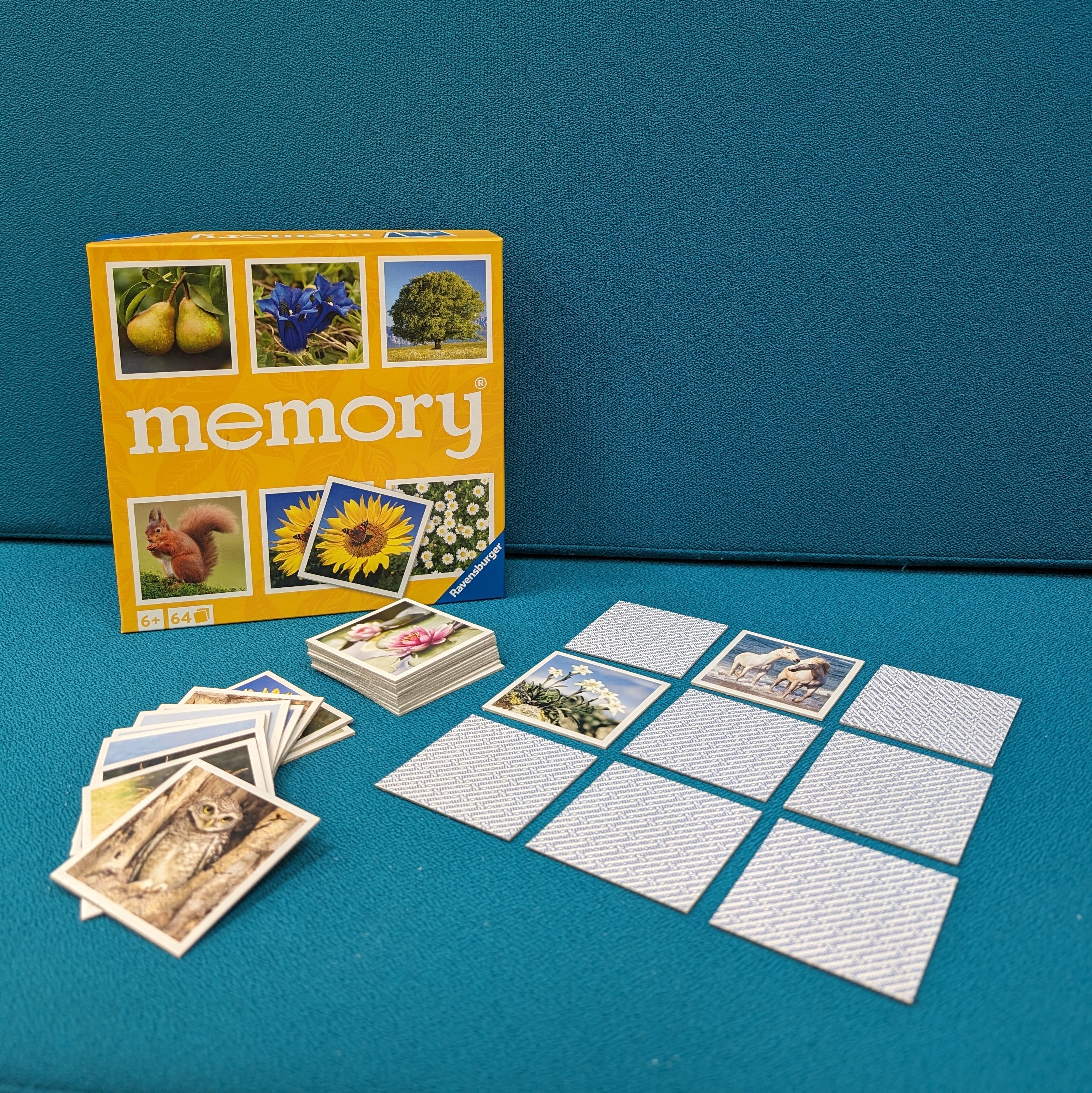 Memory-Karten vor einer Memory-Box