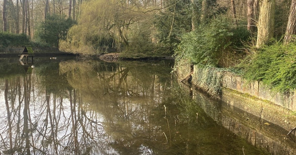 Sanierung des Teichs im Waldpark Stadt Troisdorf