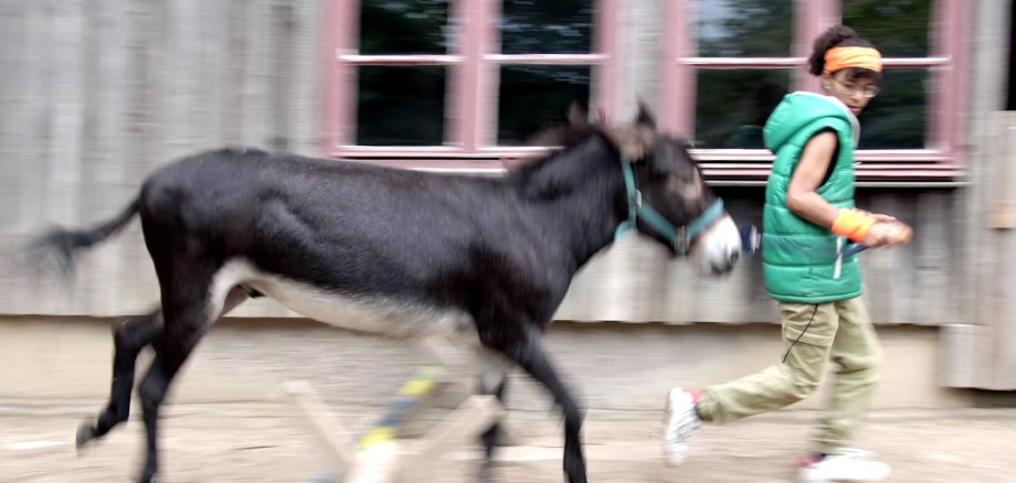 Mädchen rennt mit Esel