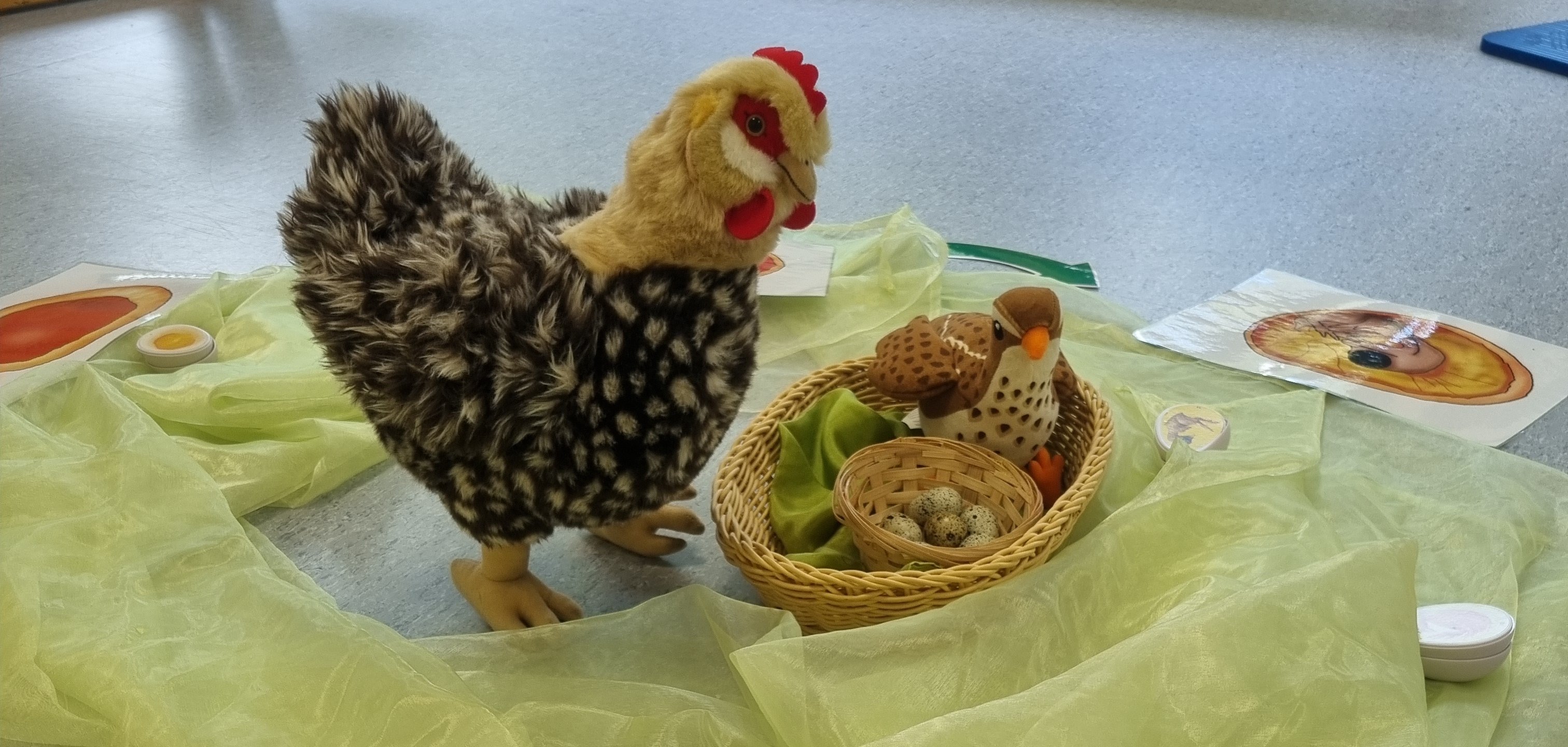 Ein Stoffhuhn mit einem Spielzeugnest