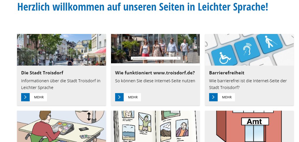 Bildschirmausschnitt der Website in Leichter Sprache