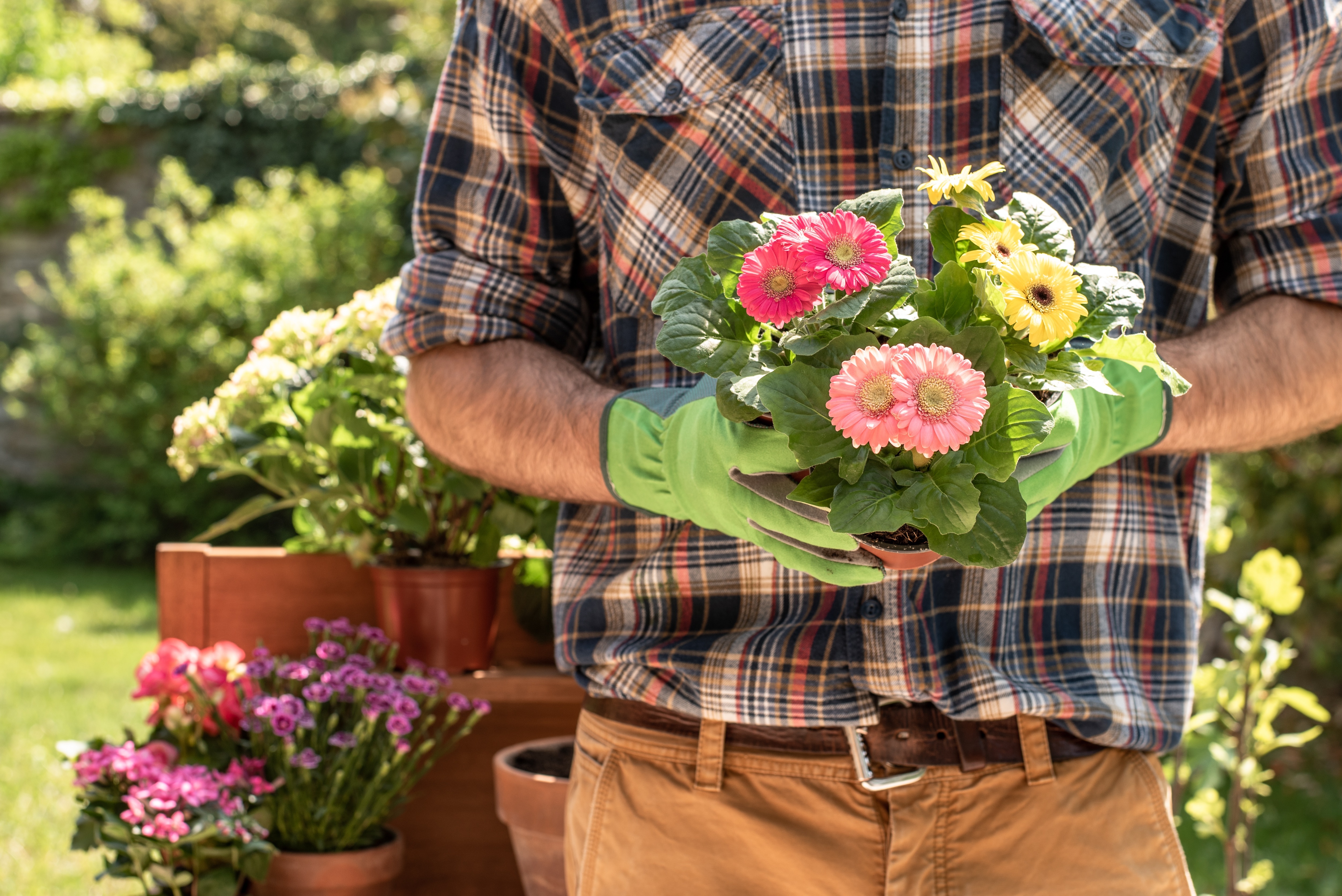Mann mit Blumentopf in der Hand