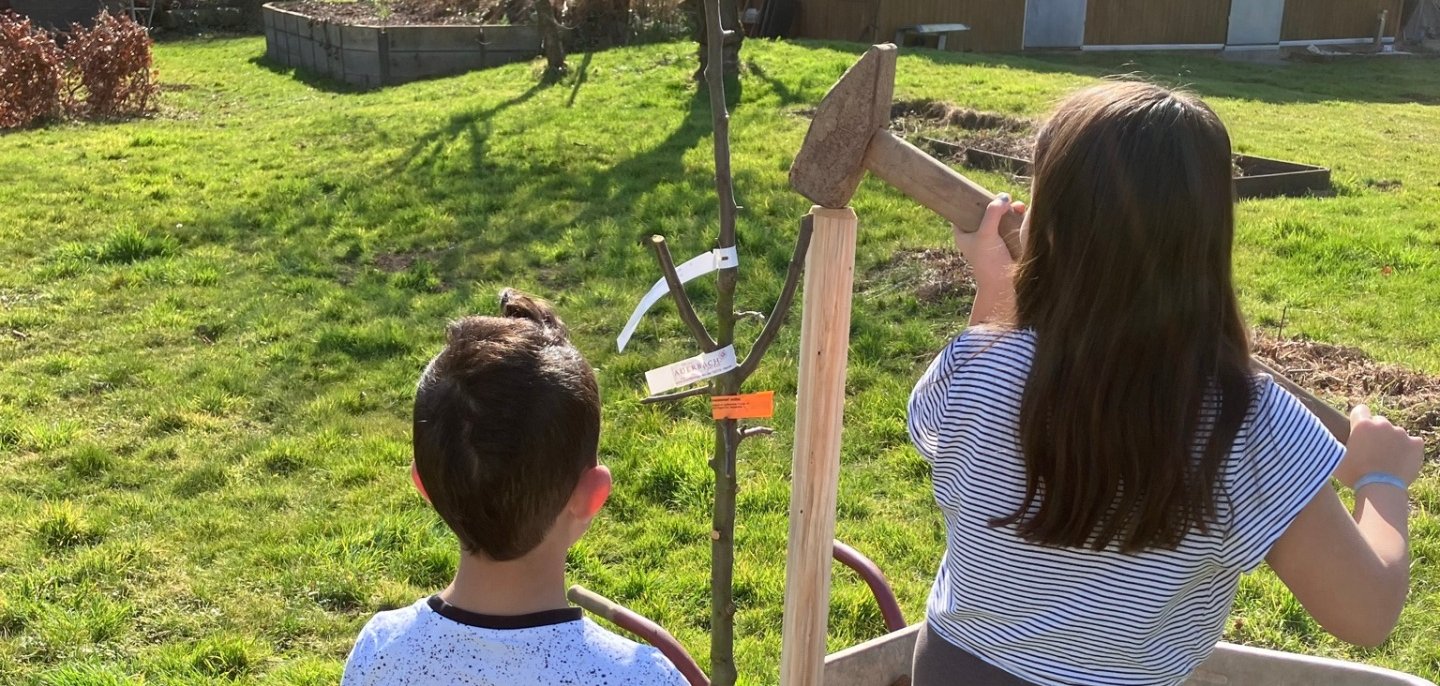 Zwei Kinder pflanzen den neuen Baum in ihre Garten