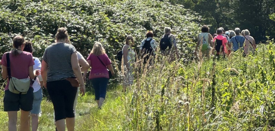 Frauen wandern