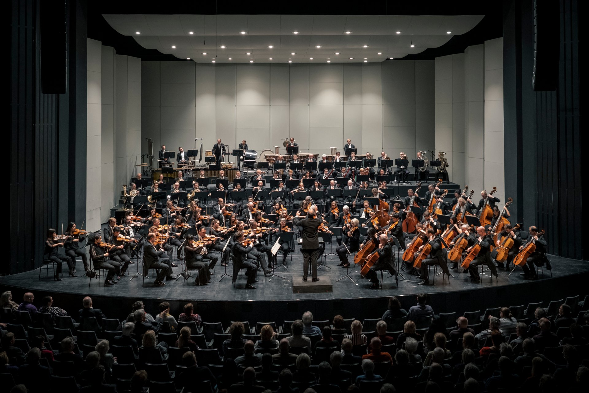 Die Neue Philharmonie Westfalen spielt unter der Leitung eines Dirigenten auf der Konzertbühne.