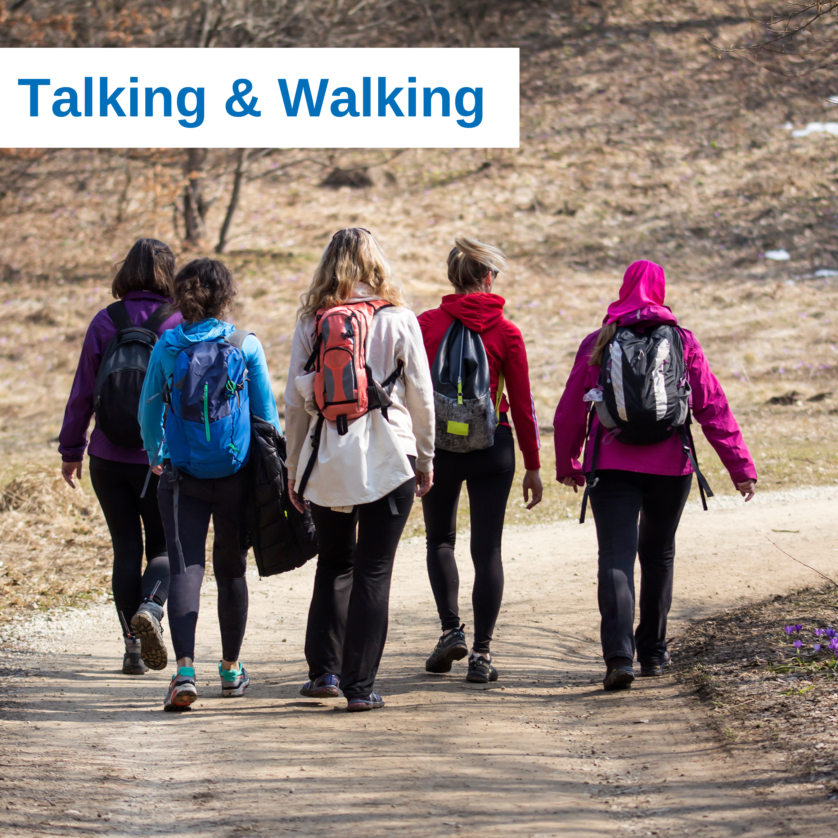 Fünf Frauen gehen miteinander wandern