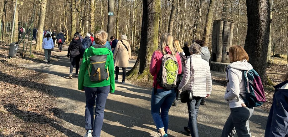 Spaziergang in der Heide