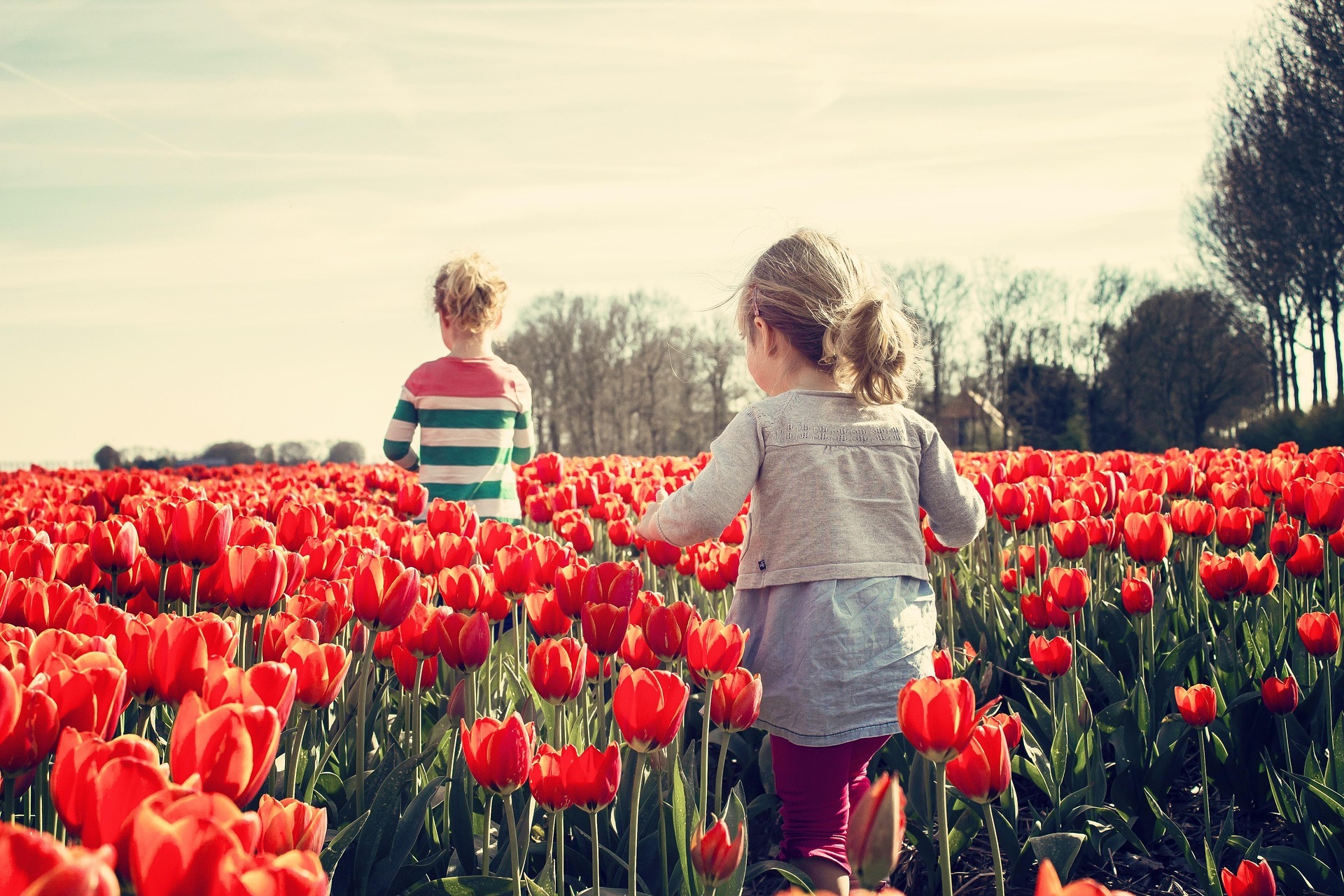 Kinder im Tulpenfeld