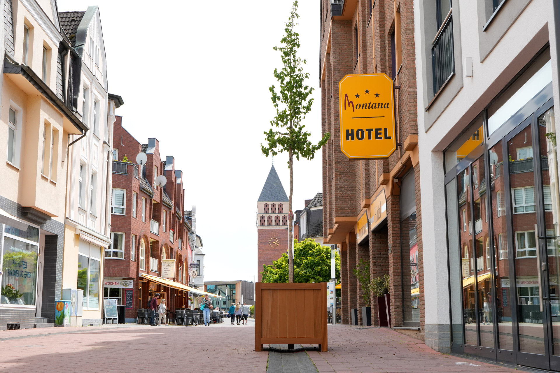 Baum in der Innenstadt