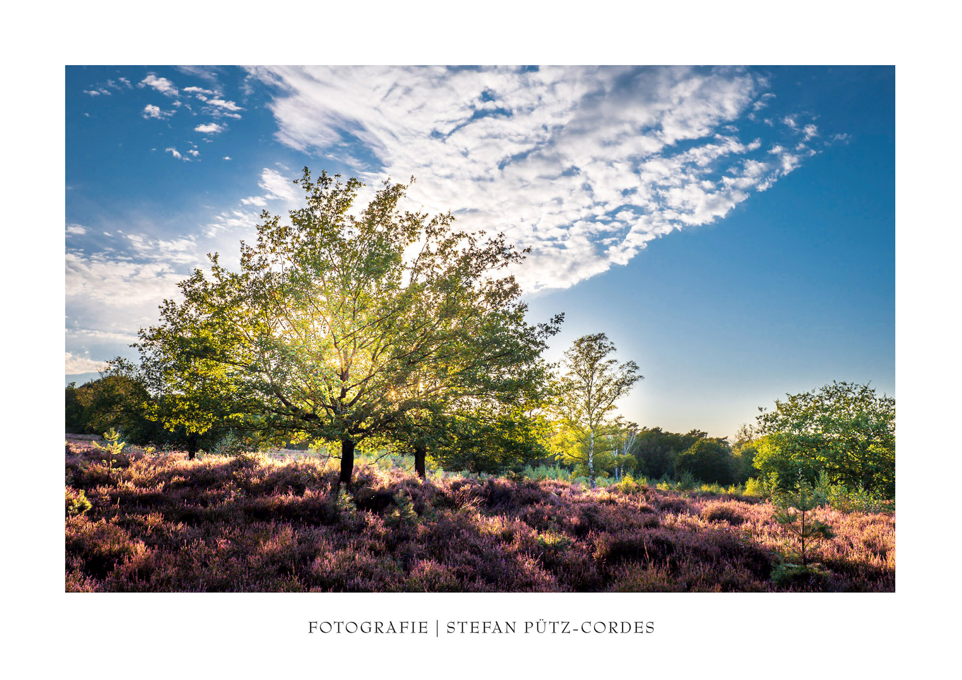 Ein Beispielfoto der Wahner Heide aus dem Kalender