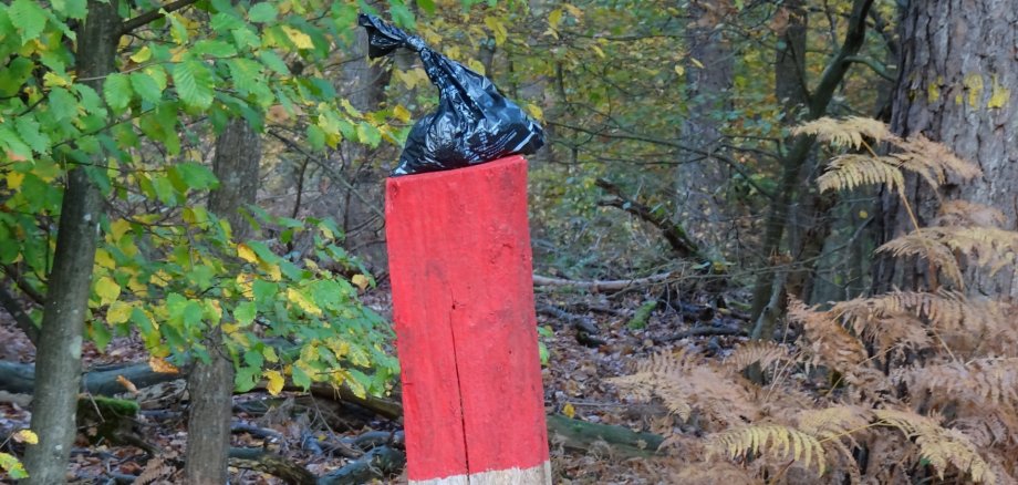 Ein Hundekotbeutel auf einer Wegemarkierung
