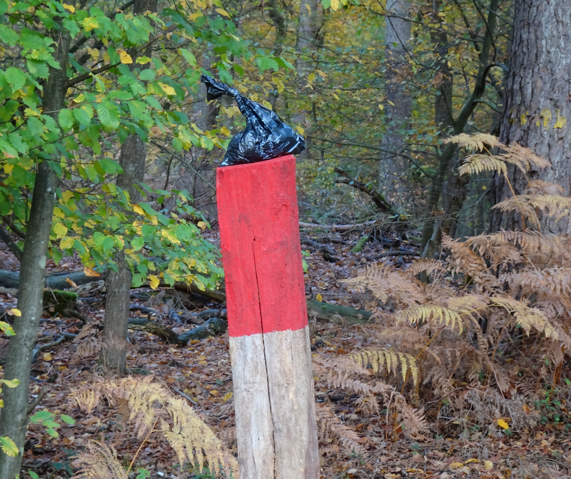 Ein Hundekotbeutel auf einer Wegemarkierung