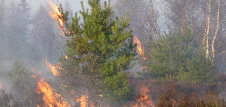 Brand in der Heide