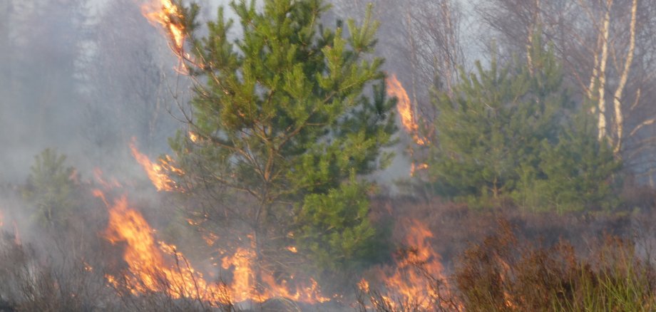 Brand in der Wahner Heide