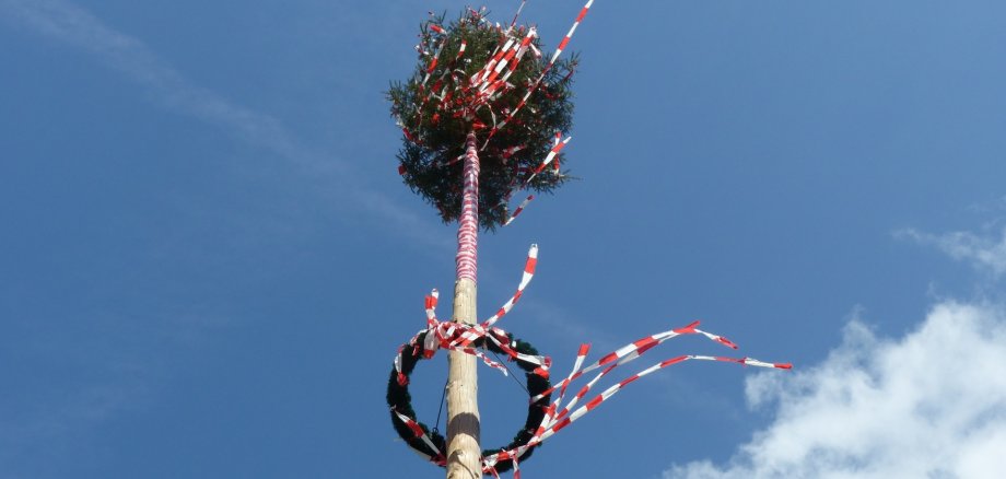 Maibaum