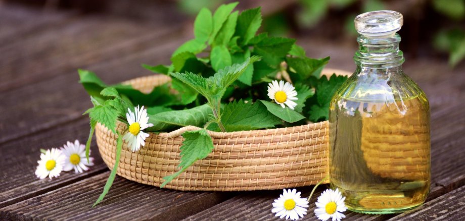 Aromatische Wildkräuter