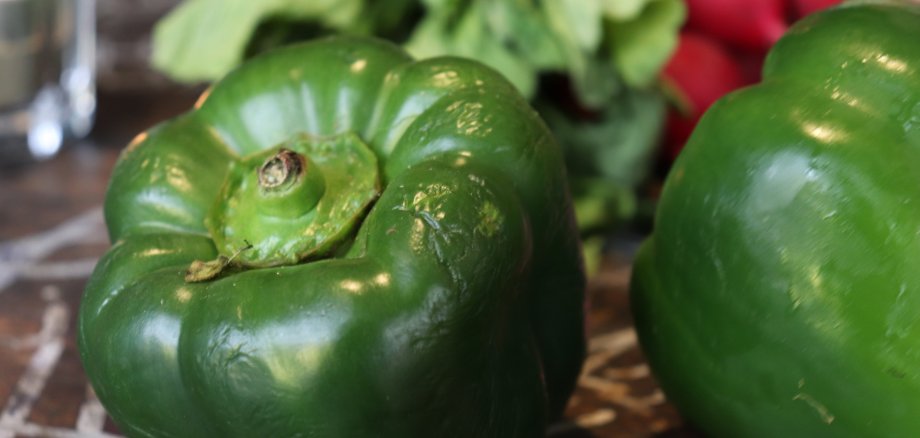 Grüne Paprika