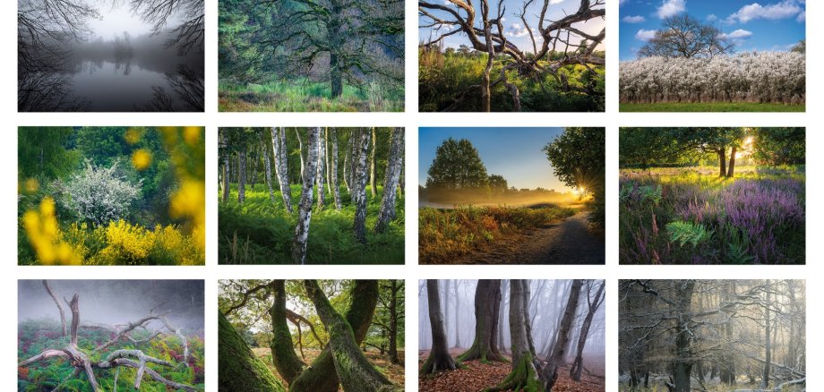Fotocollage aus dem Kalender