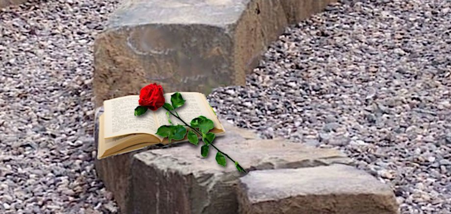 Blume auf Stein und Buch Blume auf Stein und Buch
