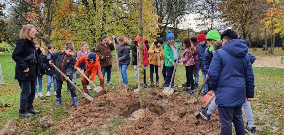 Kinder der „Grünbär-Klasse“ der Oberlarer Janosch-Grundschule pflanzen einen Kastanienbaum