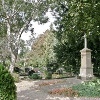 Friedhof Bergheim