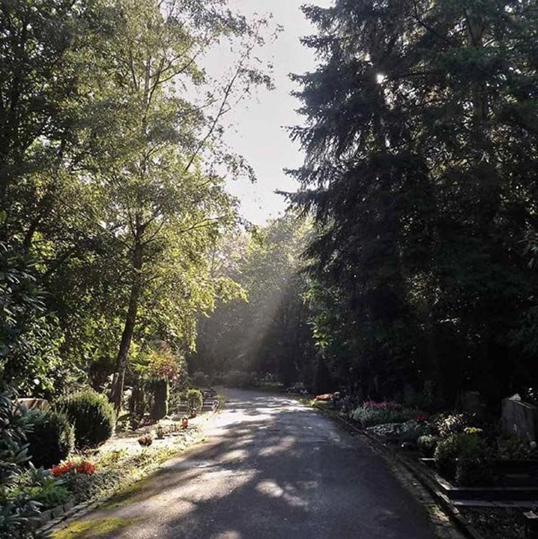 Weg auf einem Troisdorfer Friedhof