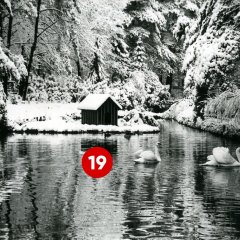 19. Türchen: Weiher im Troisdorfer Stadtpark an der Burg Wissem, aufgenommen im Januar 1959 (Fotograf: Fritz Vogel; Stadtarchiv Troisdorf, Fotonachlass Vogel)