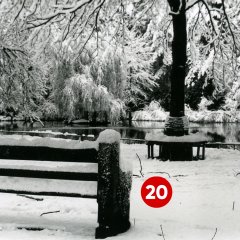 20. Türchen: Weiher im Troisdorfer Stadtpark an der Burg Wissem, aufgenommen im Januar 1959 (Fotograf: Fritz Vogel; Stadtarchiv Troisdorf, Fotonachlass Vogel)