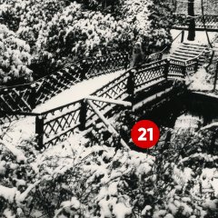 21. Türchen: Troisdorfer Stadtpark an der Burg Wissem, aufgenommen am 30.12.1968 (Fotograf: Fritz Vogel; Stadtarchiv Troisdorf, Fotonachlass Vogel)