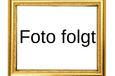 Foto folgt - 1 Foto folgt