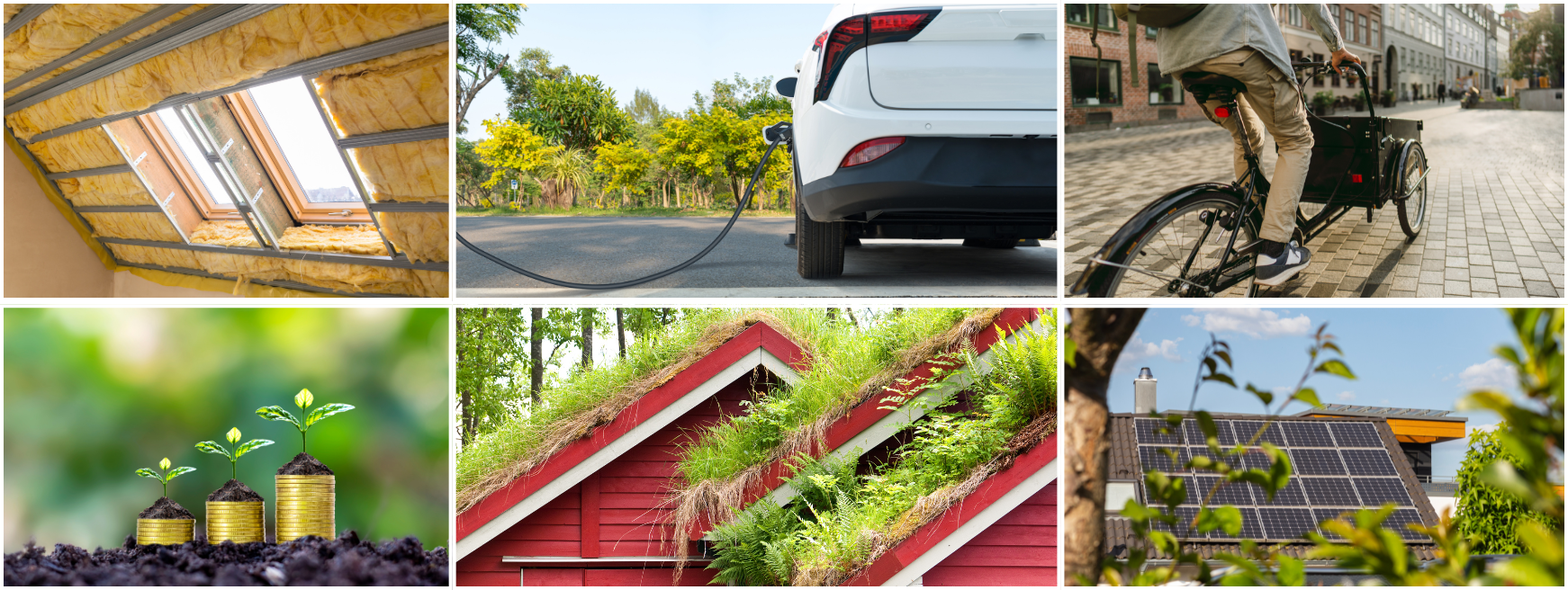 Förderprogramm Klimaschutz & Klimafolgenanpassung  Bildergalerie diverser Klimaschutzmaßnahmen