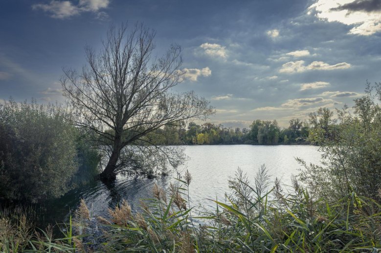 Rotter See