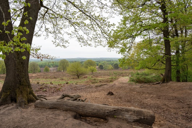 Wahner Heide