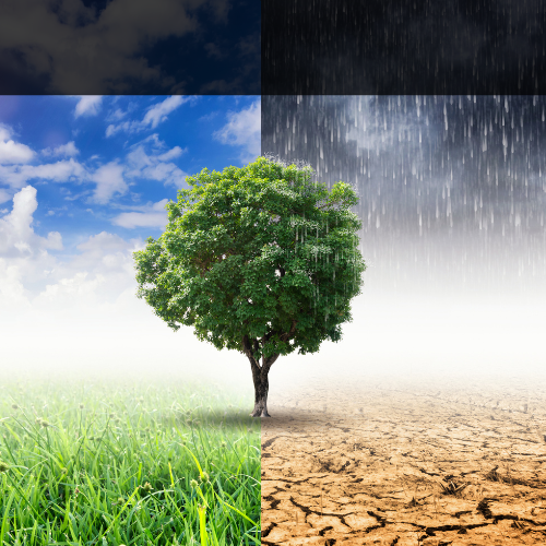 Design ohne Titel - 2