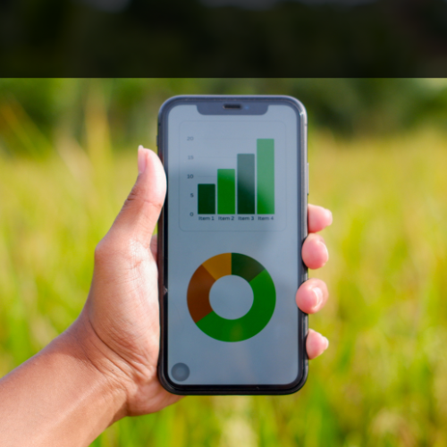 Design ohne Titel - 8