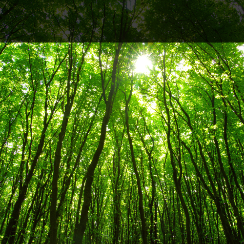 Design ohne Titel - 10 Design ohne Titel - 10