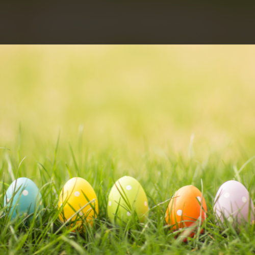 Design ohne Titel - 12 Design ohne Titel - 12