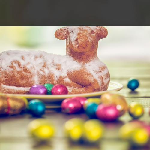 Design ohne Titel - 13 Design ohne Titel - 13