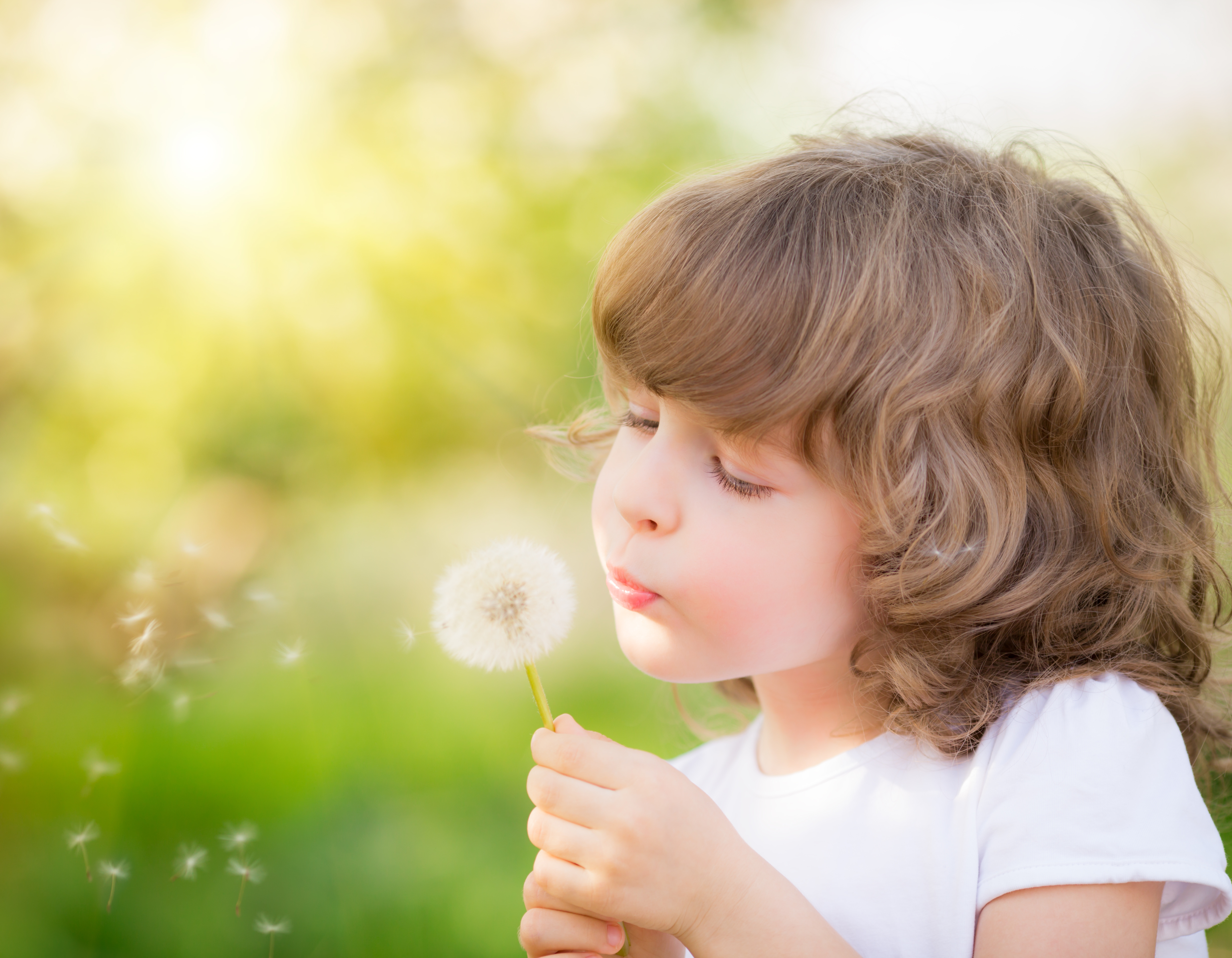 Kind mit Pustenblume Kind mit Pustenblume, Sunny studio - Fotolia